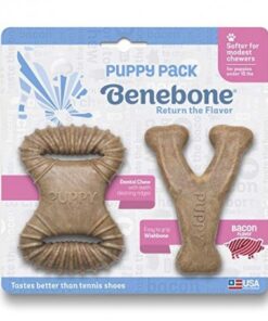 Benebone - Chiot